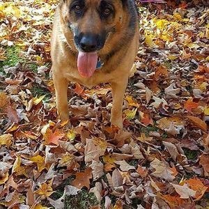 Meet your Posher, Nils